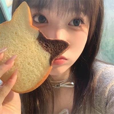 公主复仇者 封面